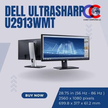 Dell UltraSharp U2913WM